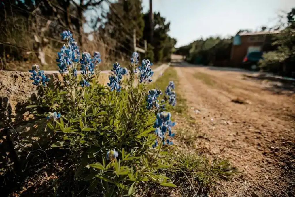 Photo of Outdoor in Austin