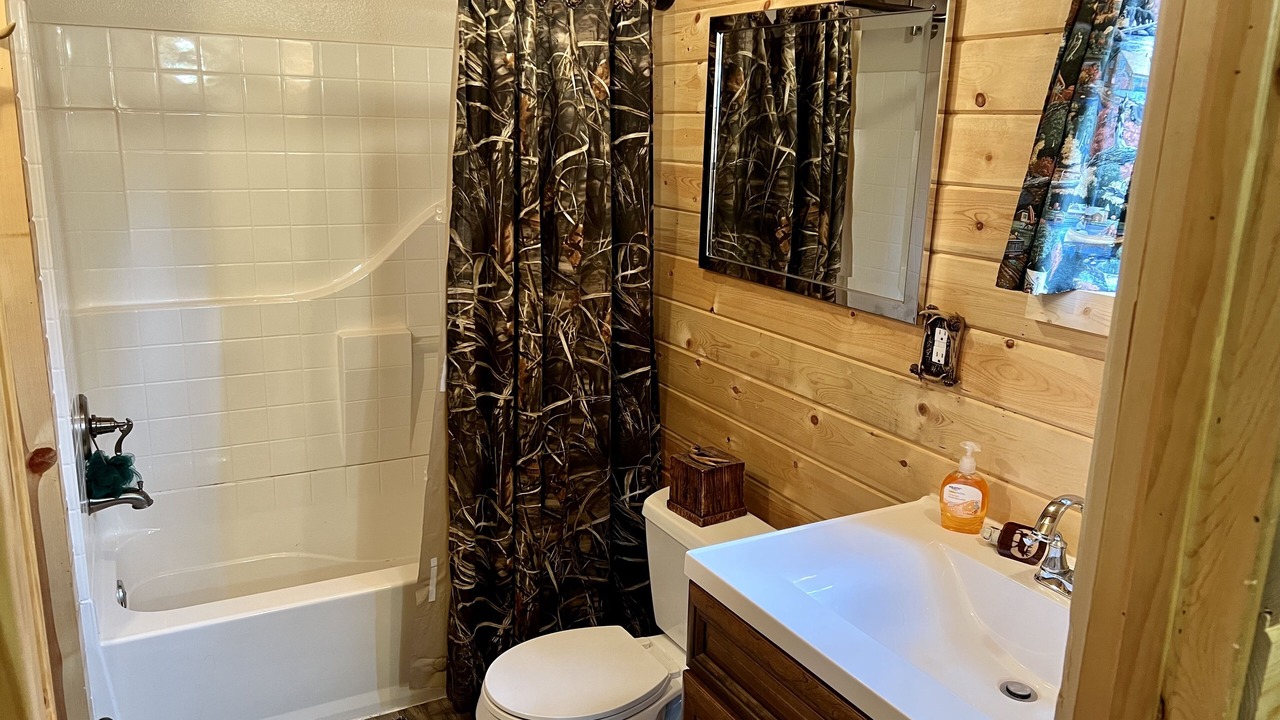 Photo of Bathroom in Island Park