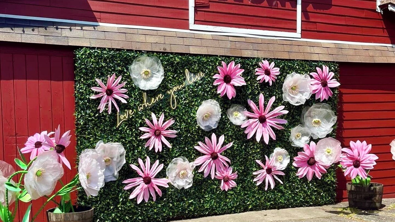 Photo of Outdoor in Edmonds
