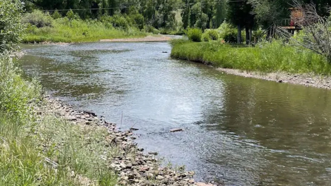 Photo of Outdoor in Woods Landing-Jelm