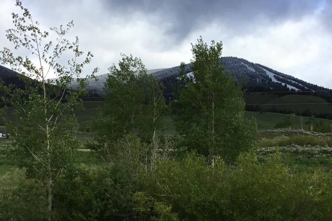 Photo of Outdoor in Polaris