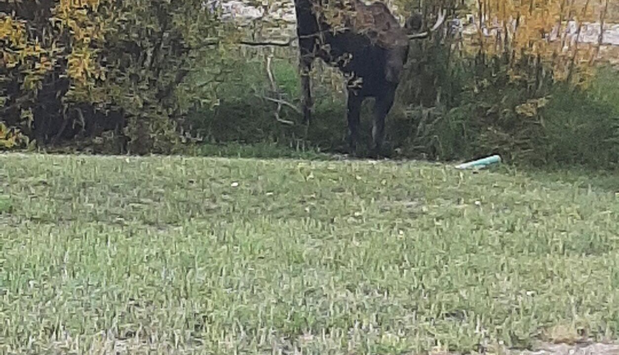 Photo of Outdoor in Polaris