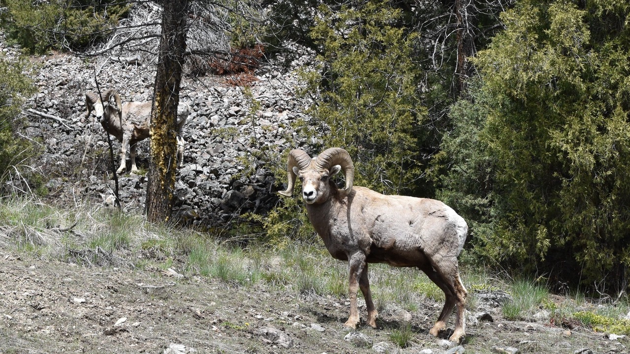 Photo of Others in Big Sky