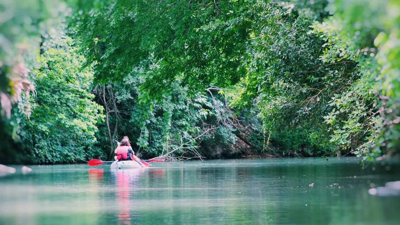 Photo of Others in Seguin