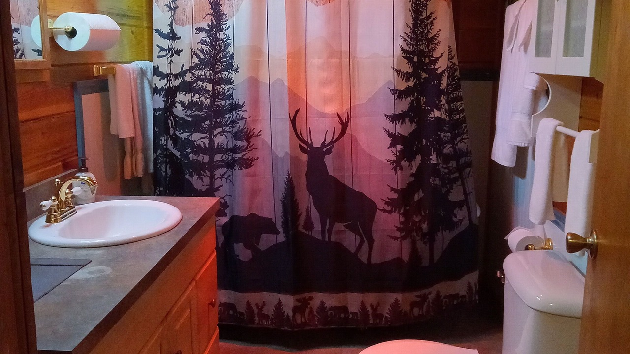 Photo of Bathroom in Troy