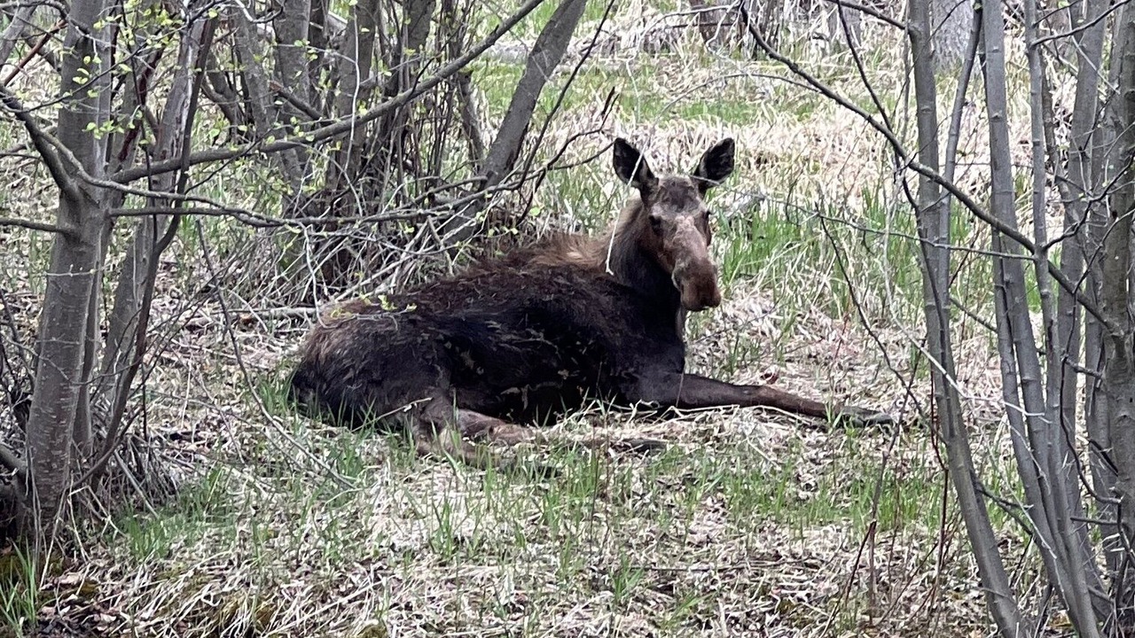 Photo of Others in Hamilton