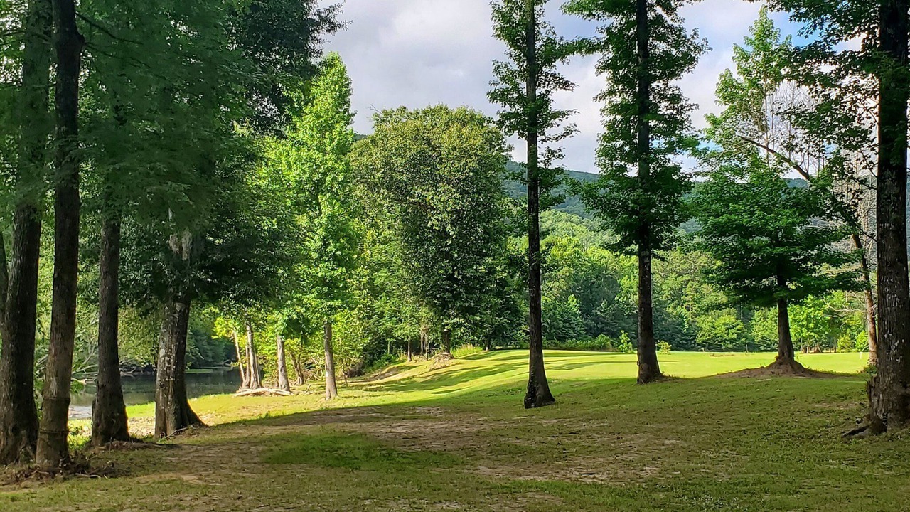 Photo of Outdoor in Pickens