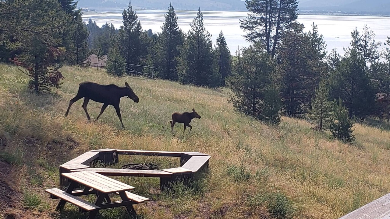 Photo of Outdoor in Granite County