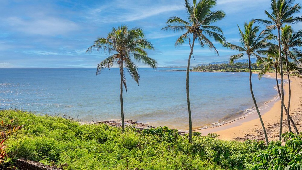 Photo of Others in Wailua