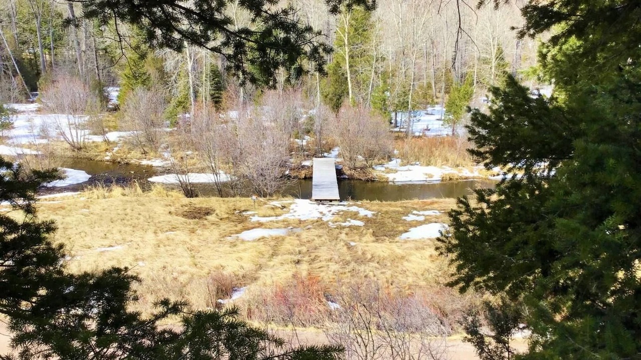 Photo of Others in Drummond