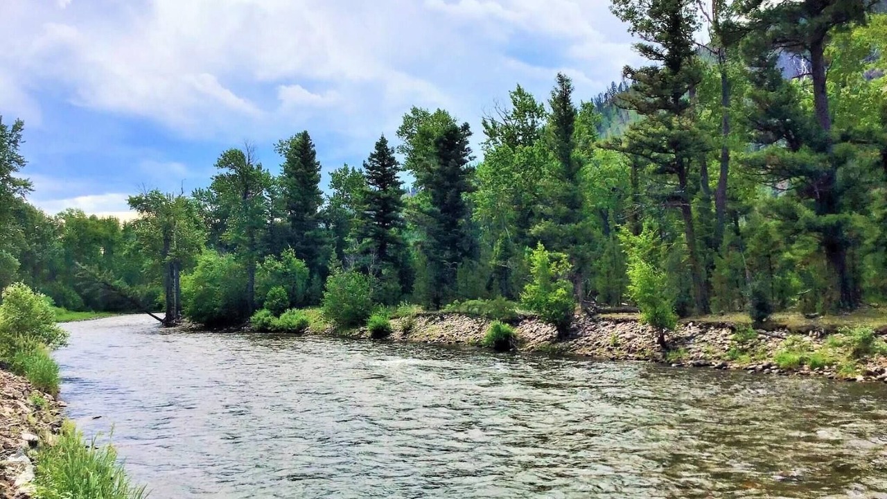 Photo of Others in Drummond