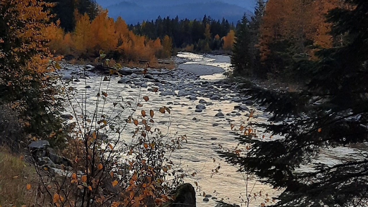 Photo of Others in Clark Fork