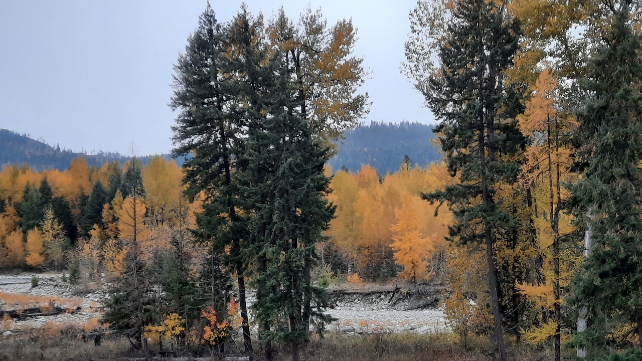 Photo of Others in Clark Fork