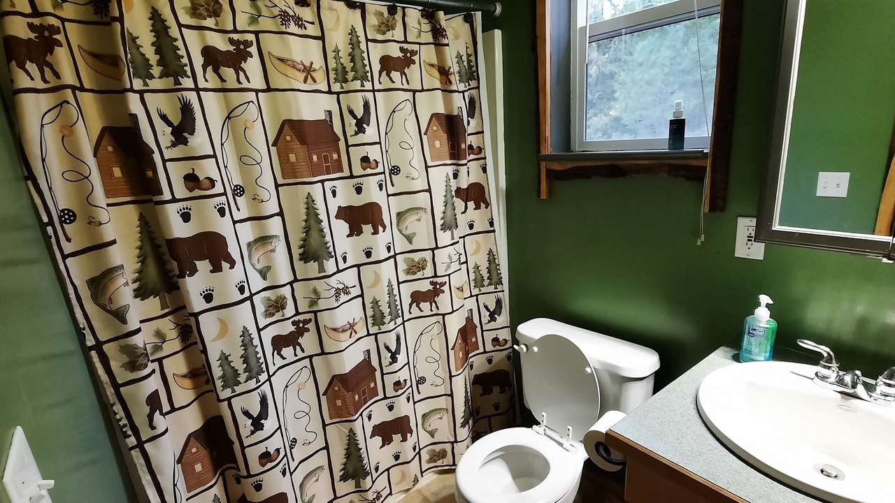 Photo of Bathroom in Clark Fork