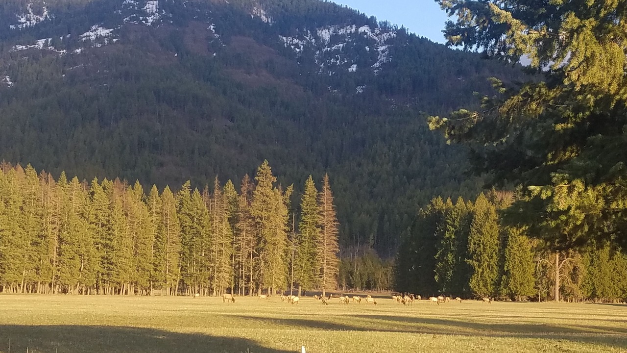 Photo of Others in Clark Fork
