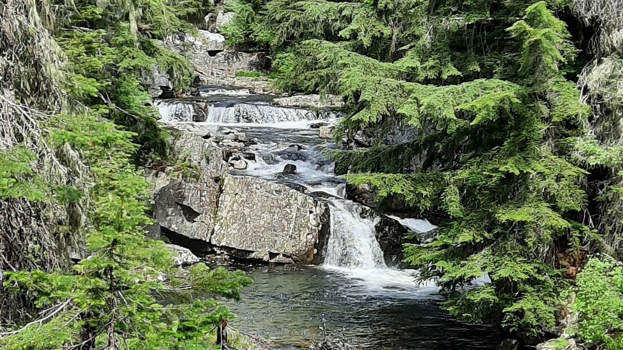 Photo of Others in Clark Fork