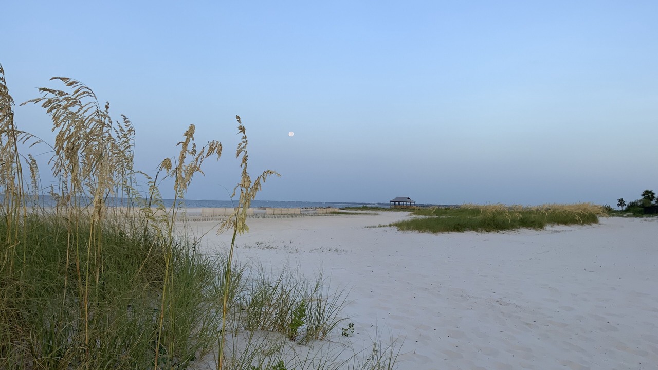Photo of Others in Henderson Point