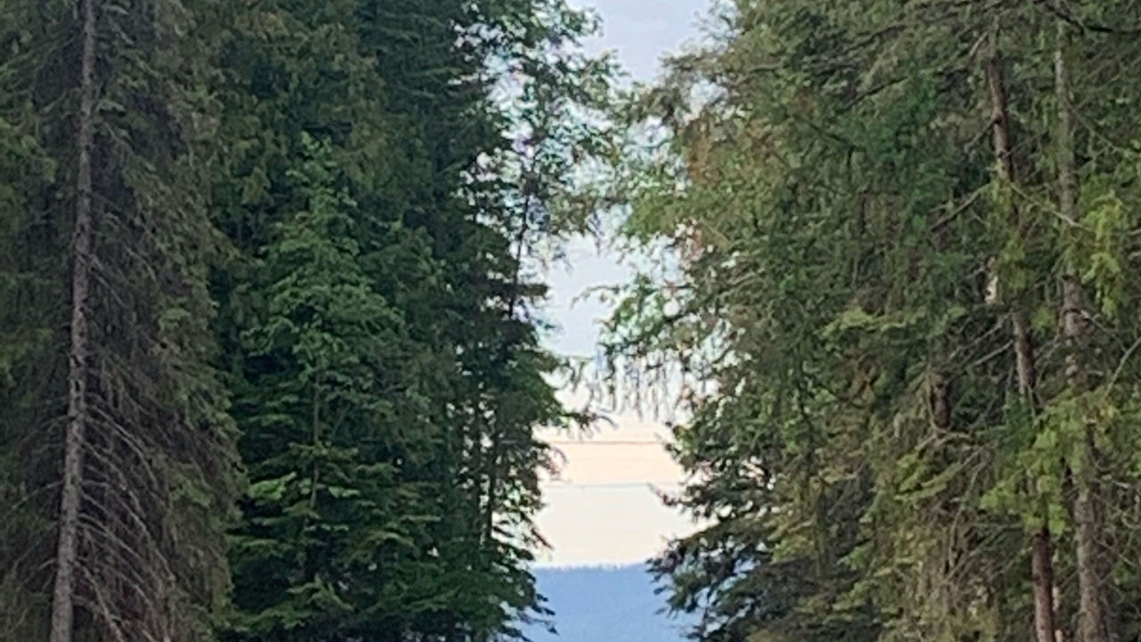 Photo of Outdoor in Nordman