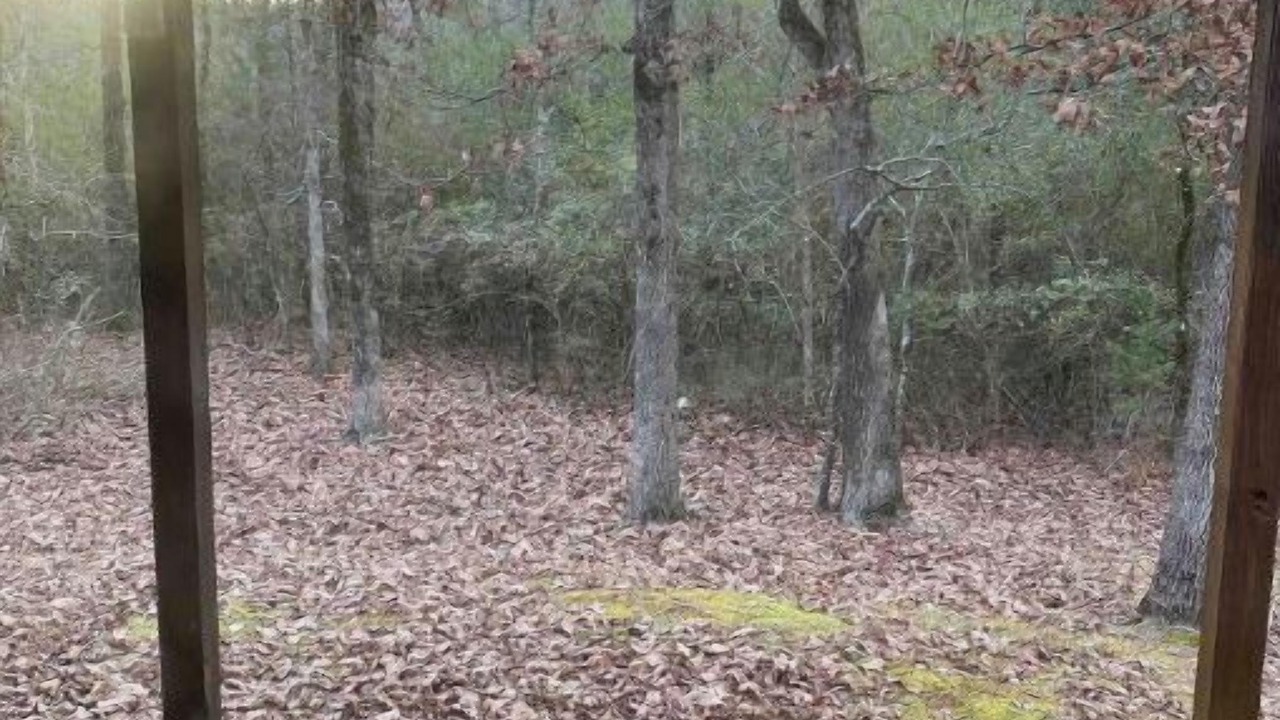 Photo of Others in Hochatown