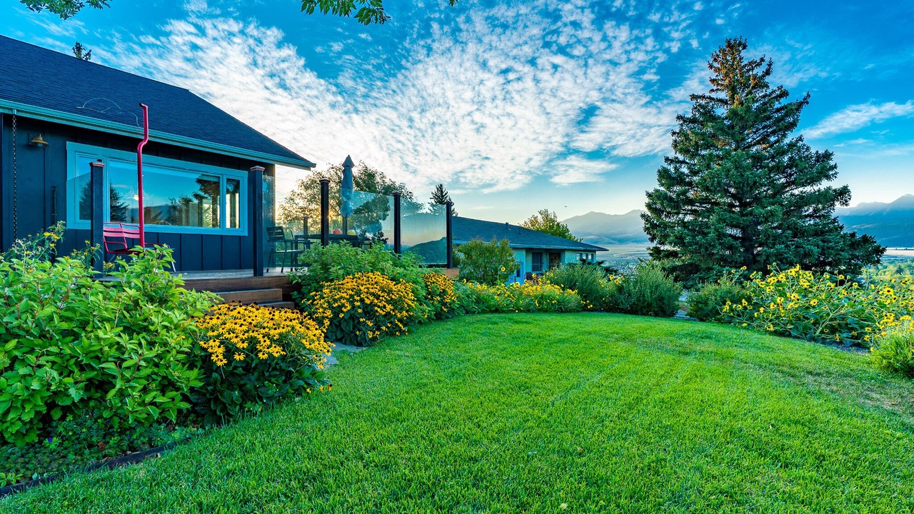 Photo of Outdoor in Livingston