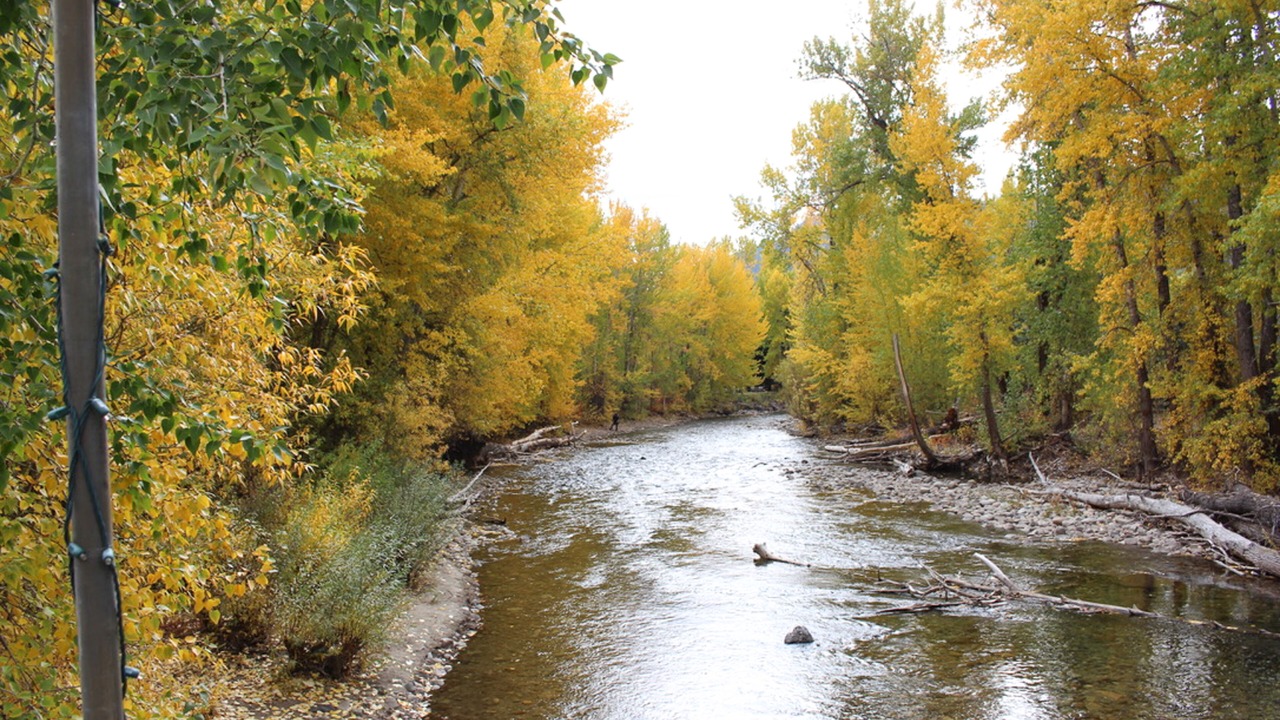 Photo of Others in Warm Springs