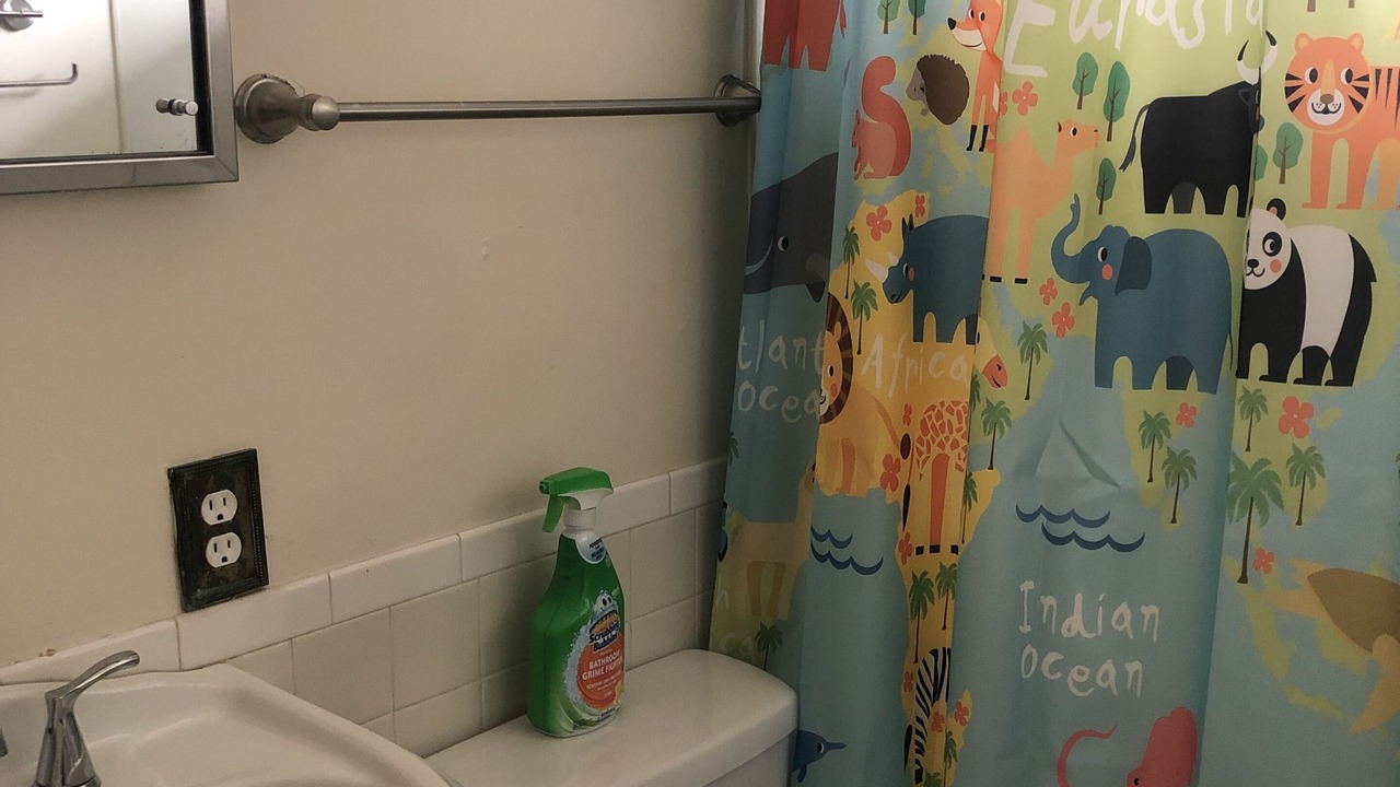 Photo of Bathroom in South Richmond