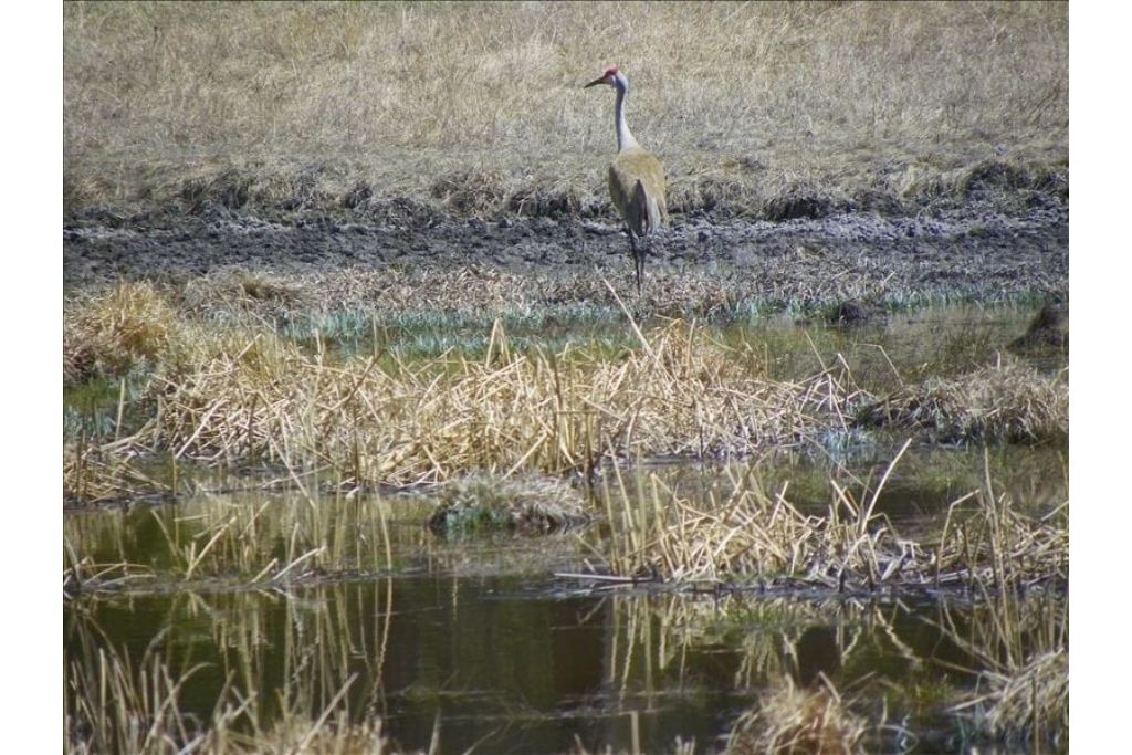 Photo of Others in Gardiner