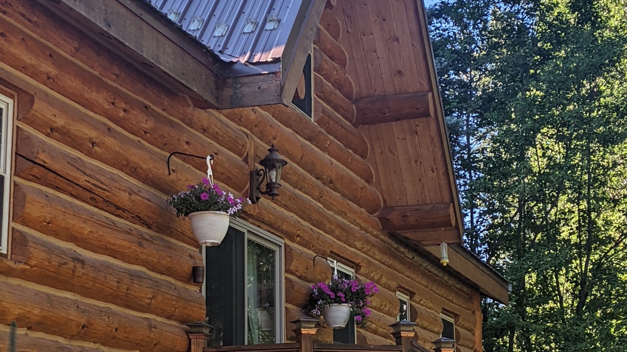 Photo of Outdoor in Swan Lake