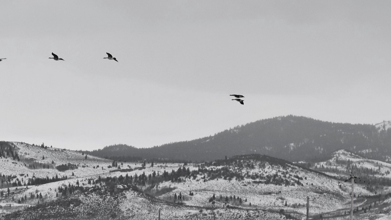 Photo of Others in Caribou County