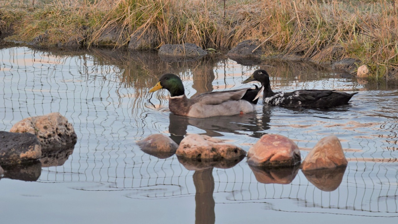 Photo of Outdoor in Caribou County