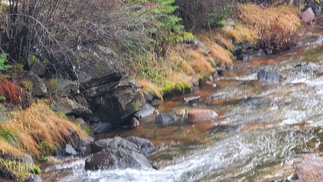 Photo of Outdoor in Wallace