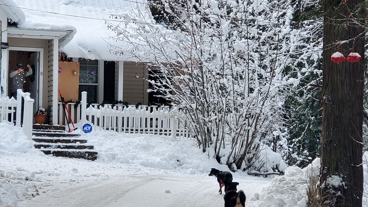 Photo of Outdoor in Wallace