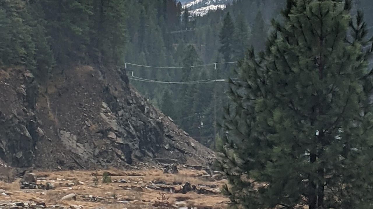 Photo of Others in Wallace