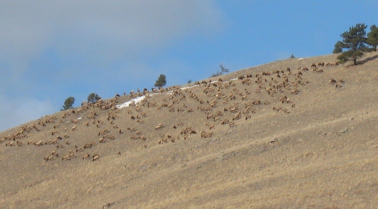 Photo of Others in Jefferson City