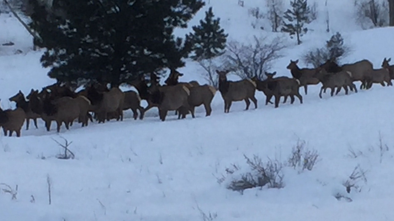 Photo of Others in Jefferson City
