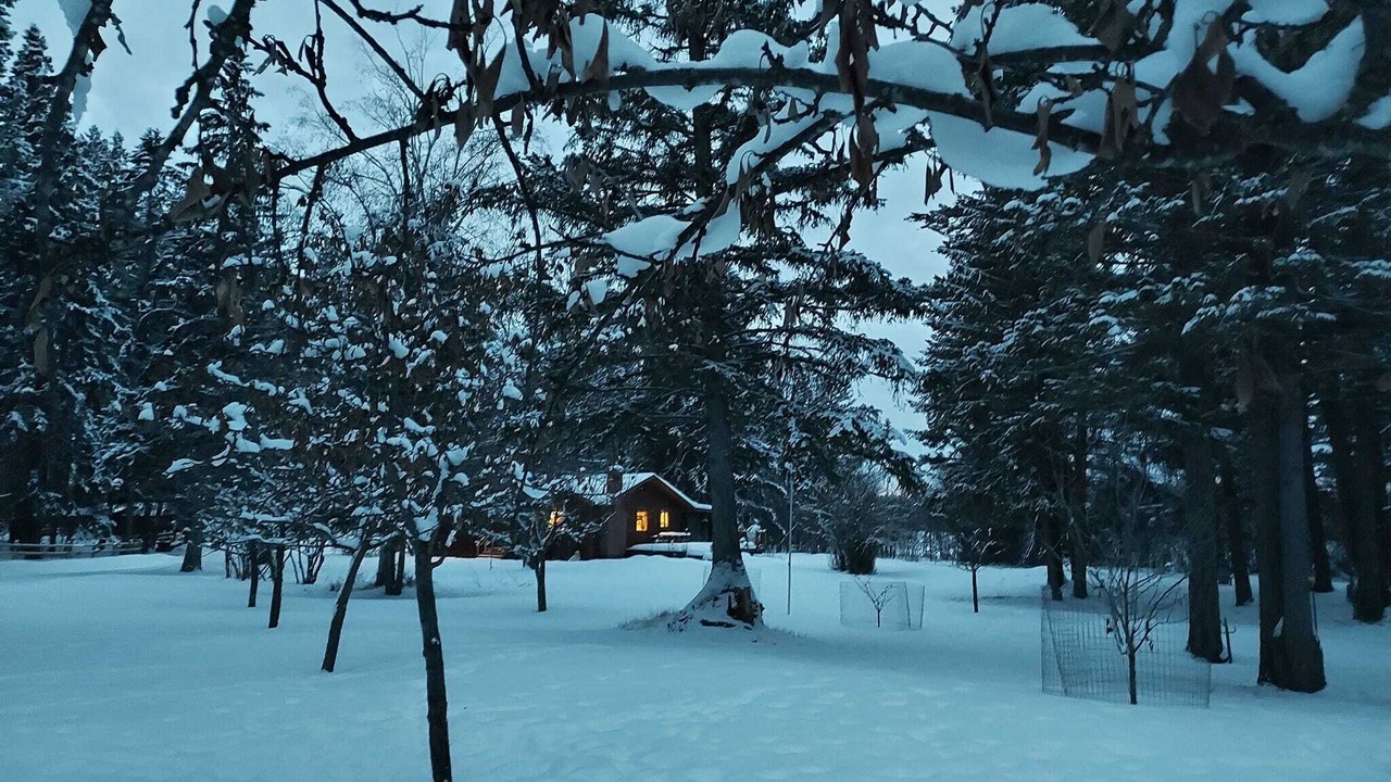 Photo of Others in Evergreen