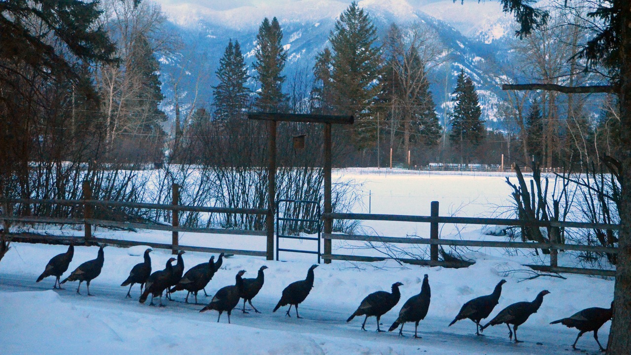 Photo of Others in Evergreen