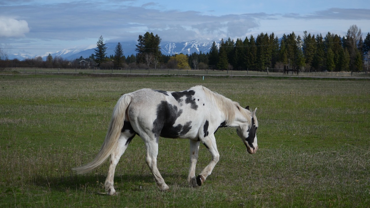 Photo of Others in Evergreen