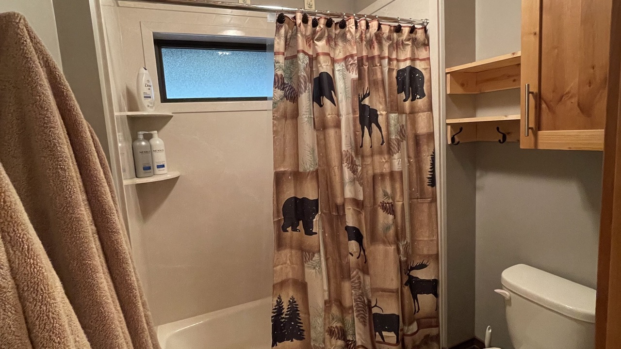 Photo of Bathroom in Island Park