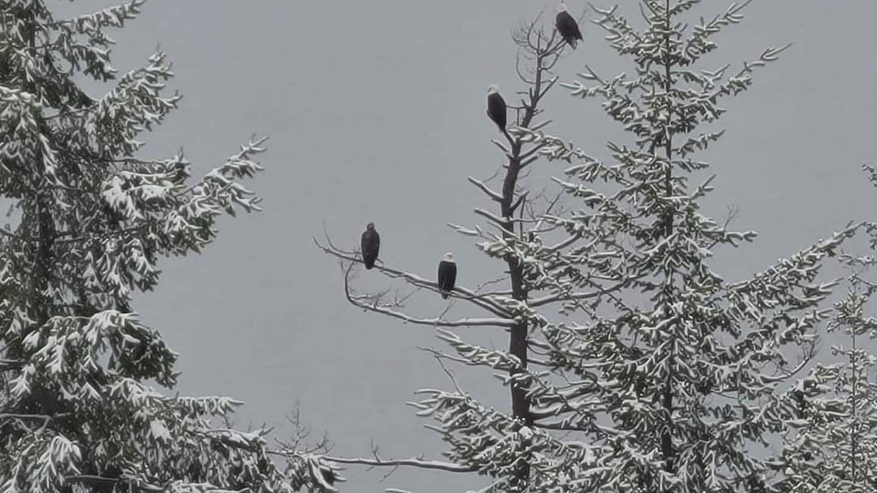 Photo of Others in Bayview