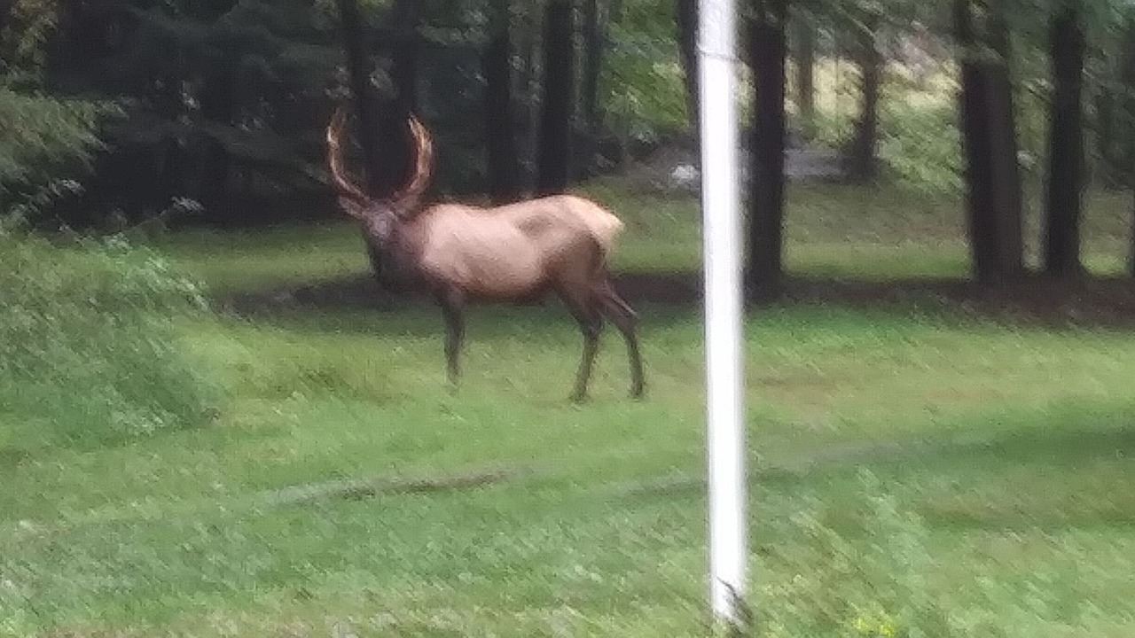 Photo of Others in Byrnedale