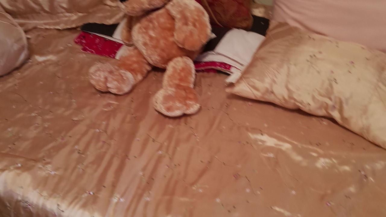Photo of Bedroom in Frayser