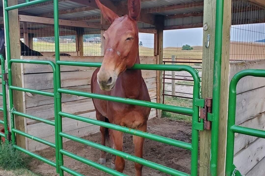 Photo of Others in Crook County