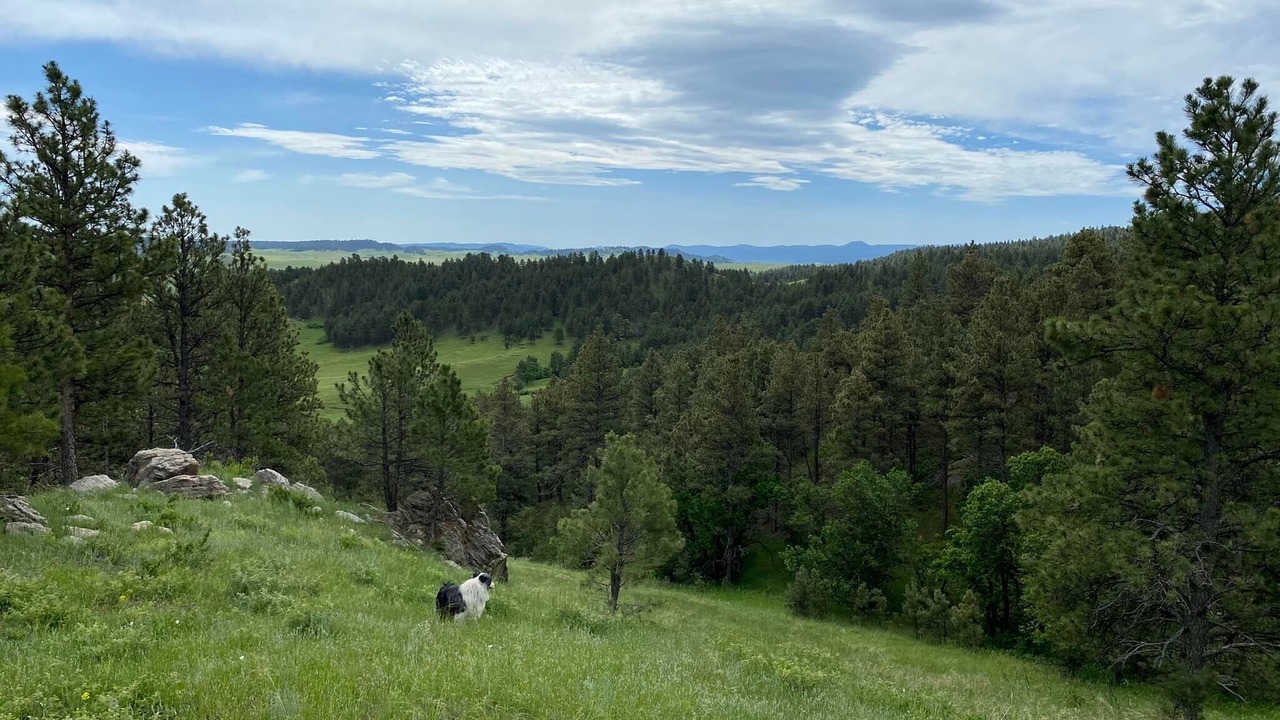 Photo of Outdoor in Crook County