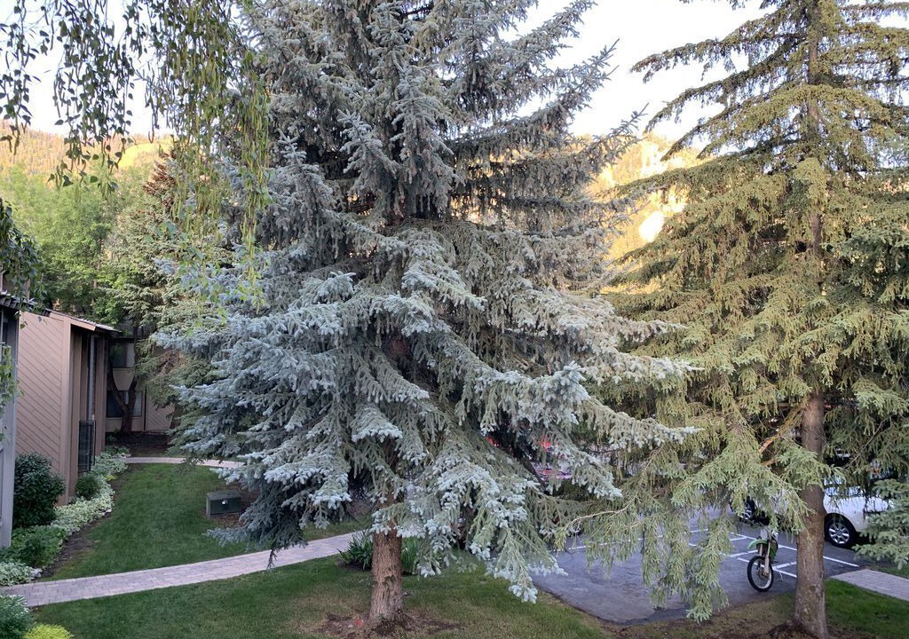 Photo of Others in Ketchum