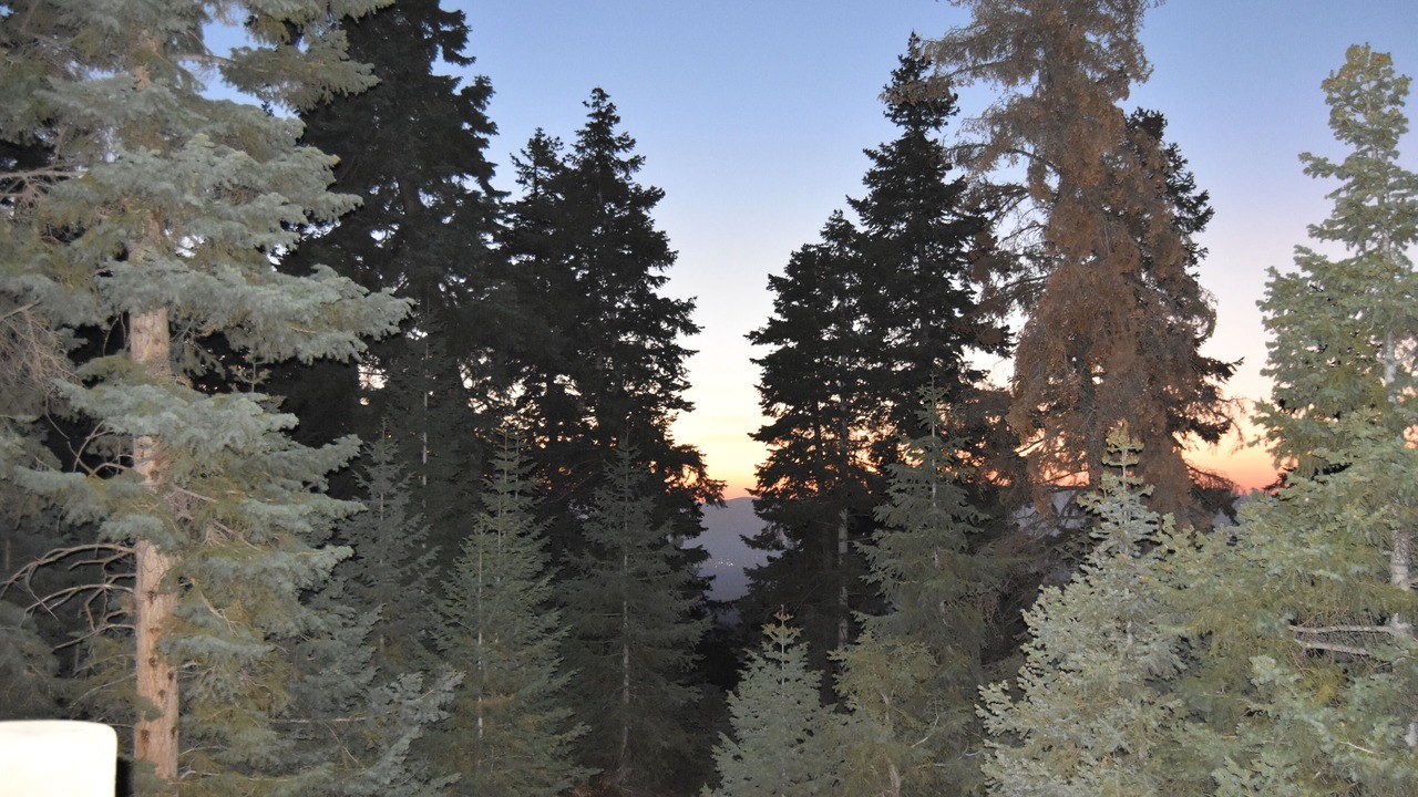 Photo of Outdoor in Mount Pleasant