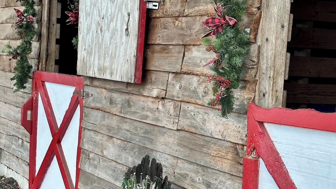 Photo of Outdoor in Lydia
