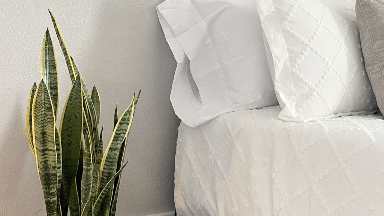 Photo of Bedroom in Florence