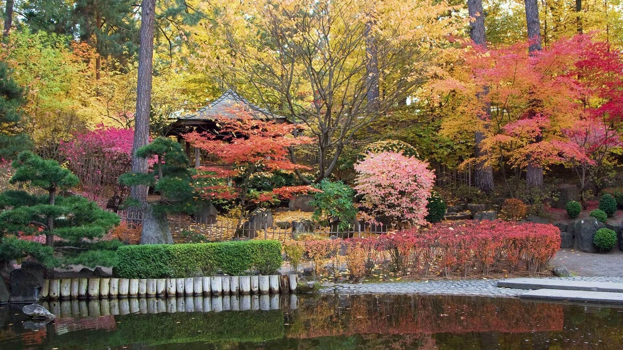 Photo of Outdoor in Manito