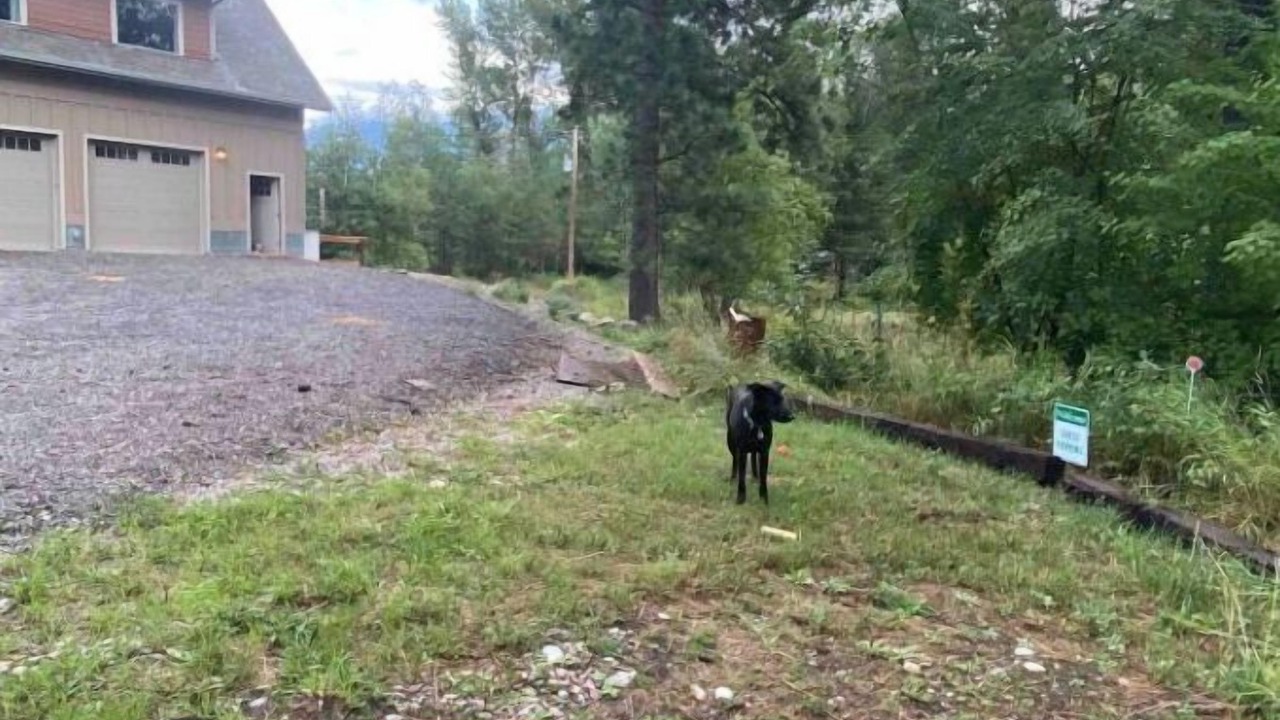 Photo of Others in Columbia Falls